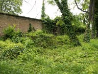 435 - 437 Nusser - Göbel